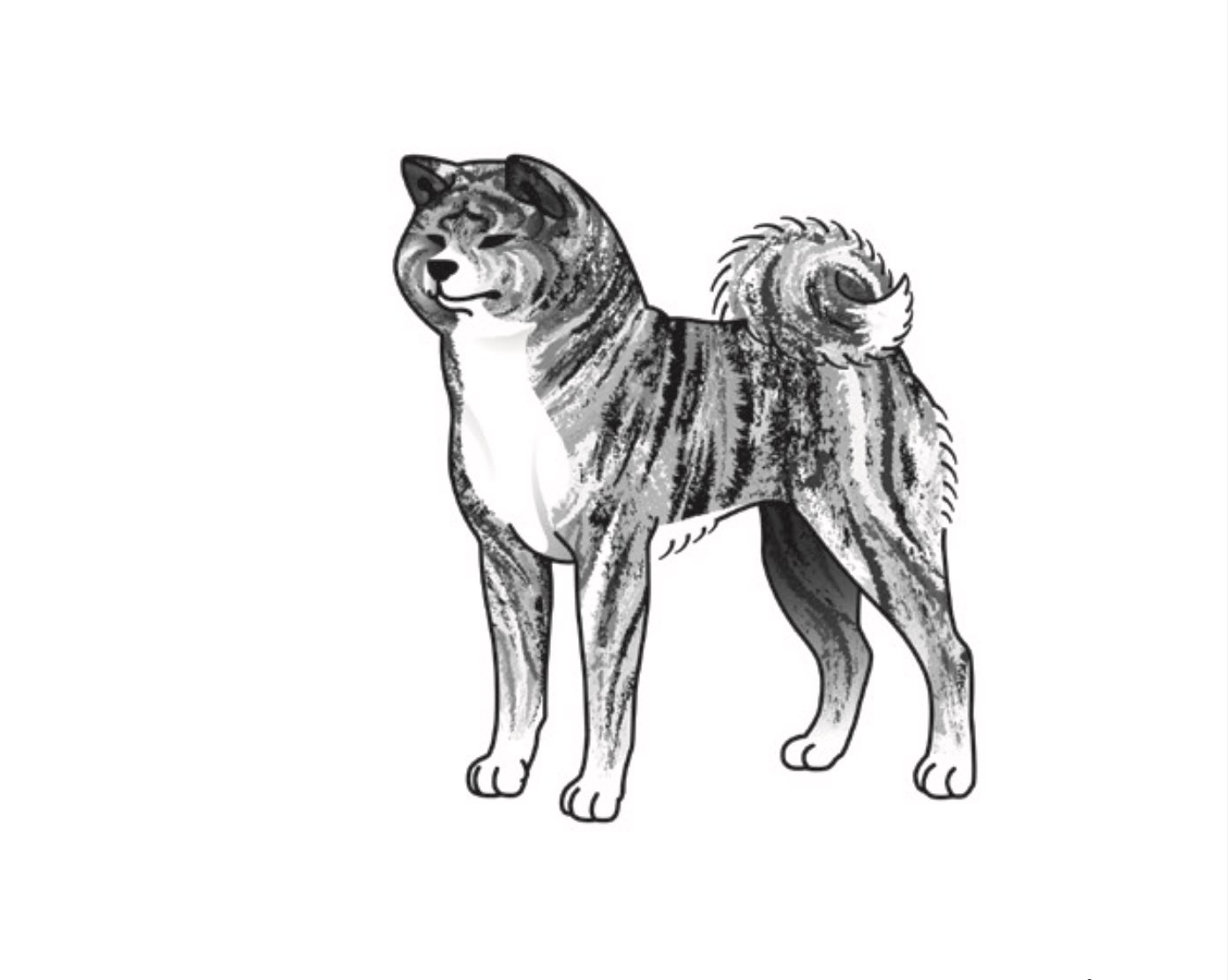 Shimofuri