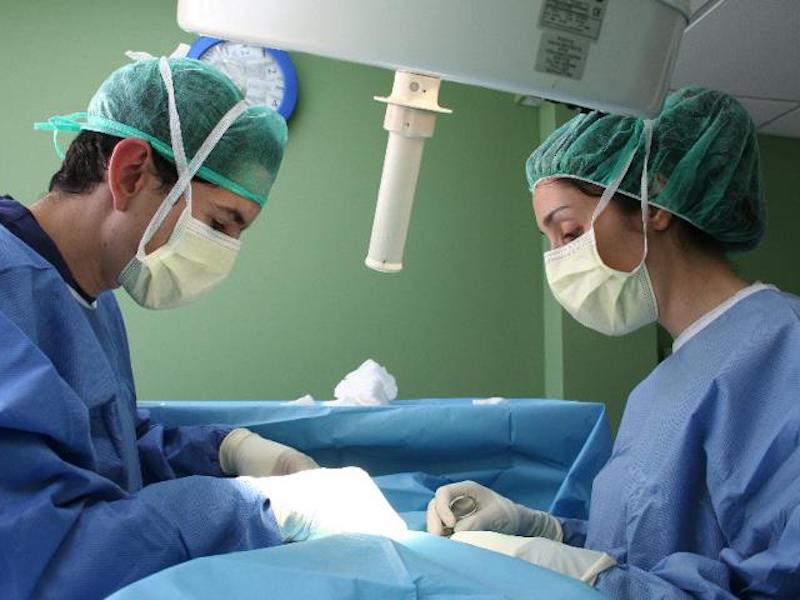 cirugia-veterinaria