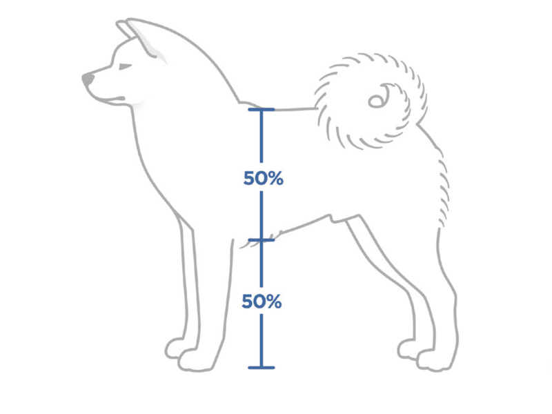 Proporciones 2